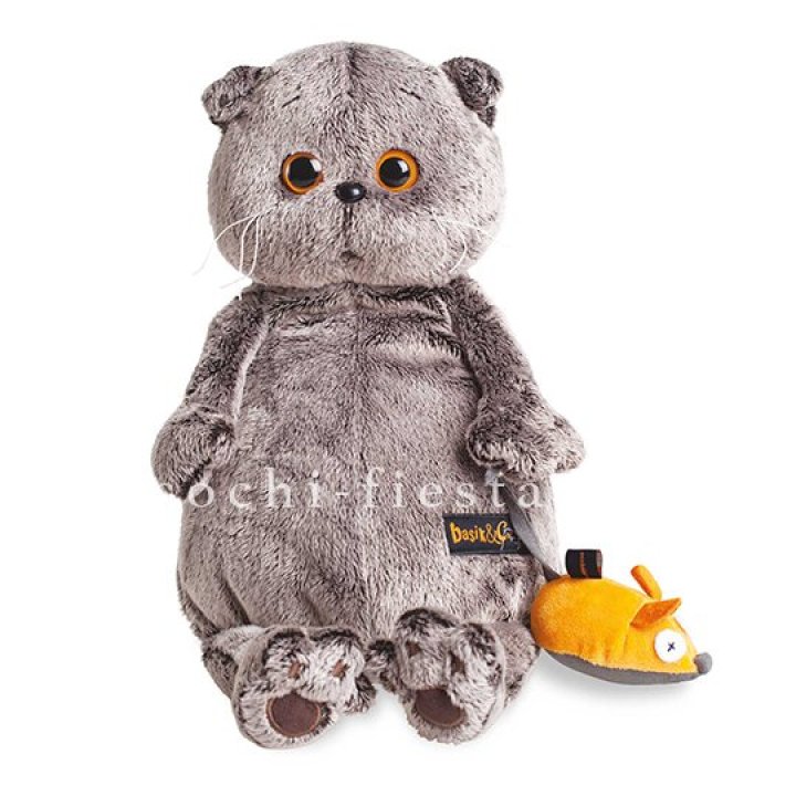 Кот Басик с мышкой в Орле