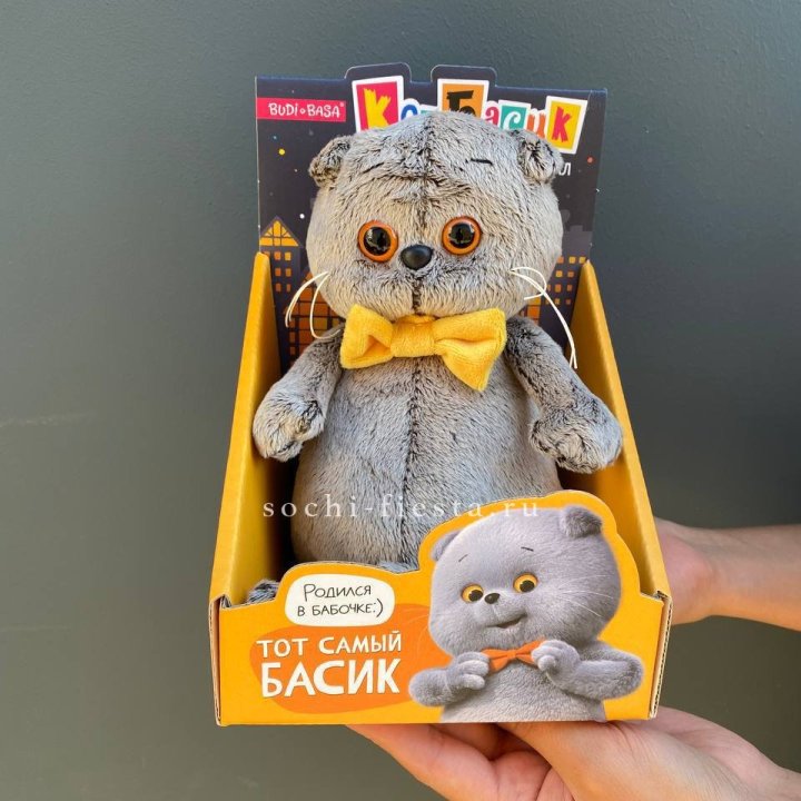 Кот Басик с бабочкой в Орле