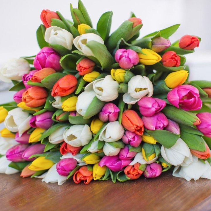 79 тюльпанов "Рандом" в Орле