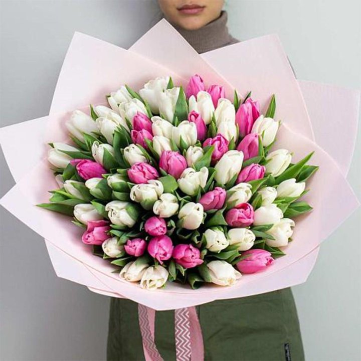 61 бело-розовый тюльпан в Орле