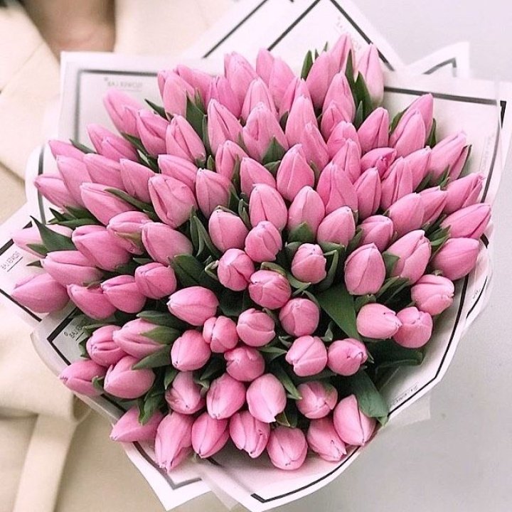101 розовый тюльпан в белом в Орле