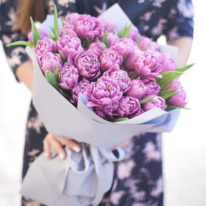 Тюльпаны "Пионс" в Орле