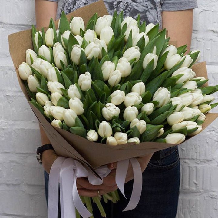 101 тюльпан сноу в Орле