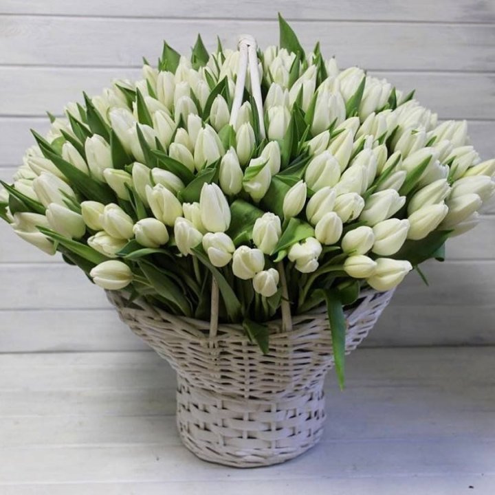 Корзина из 151 тюльпана в Орле