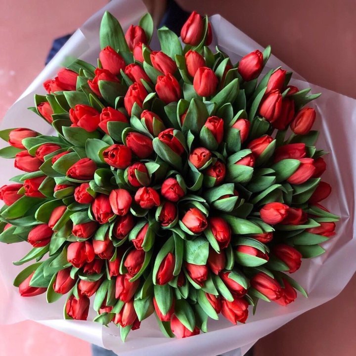 101 красный тюльпан в Орле